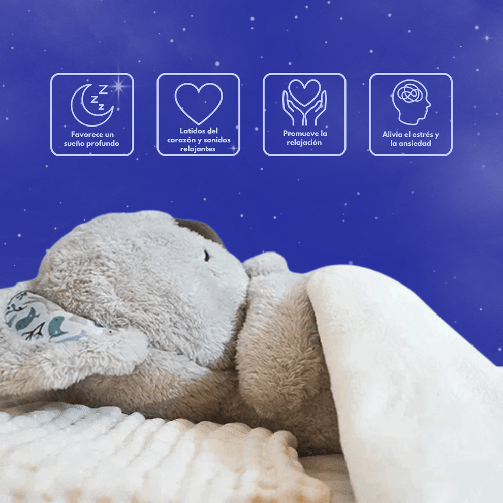 Koala Calm - Peluche Para La Ansiedad y Estrés